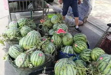 宜兴吃瓜爆料事件真相,揭秘背后真相与网络舆论的反思